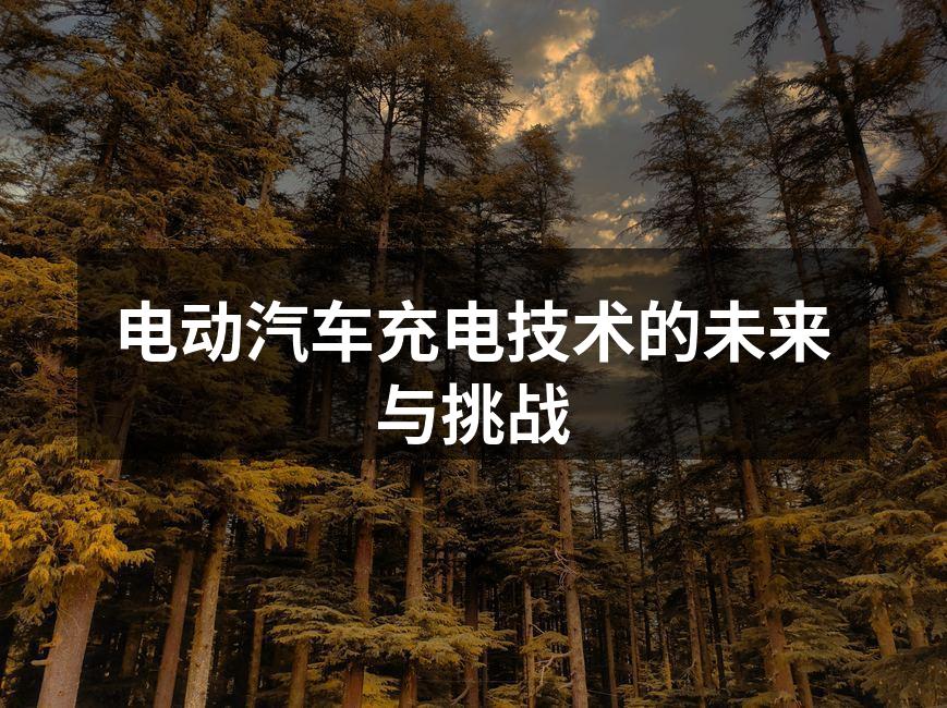 电动汽车充电桩与车辆的连接示意图