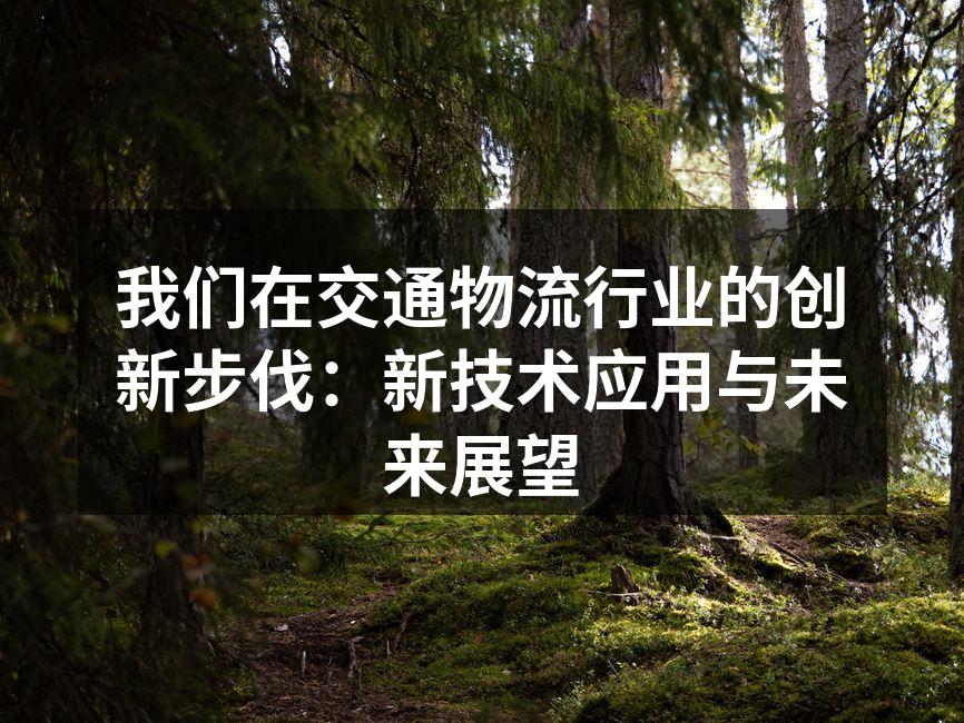 智能运输系统实时监控