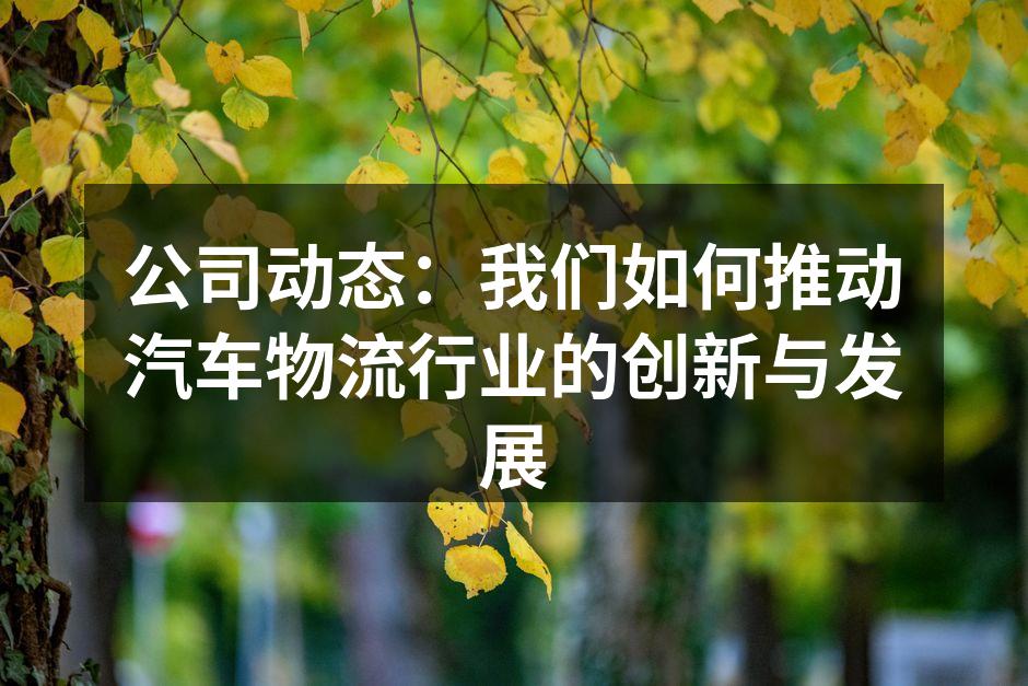 智能物流系统的成功案例展示